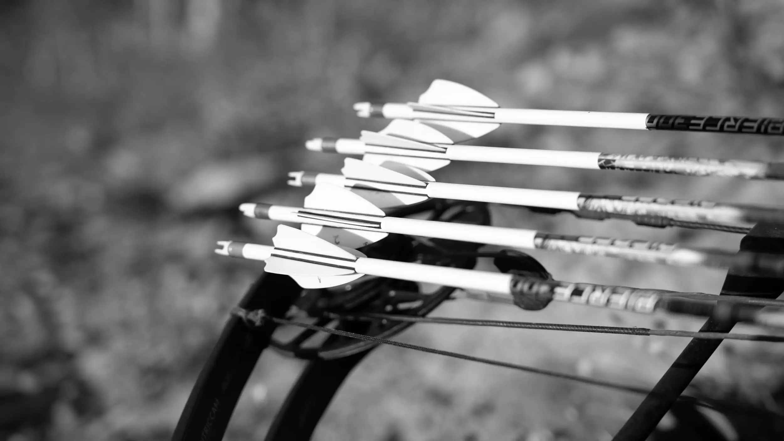Archery Arrows & Parts