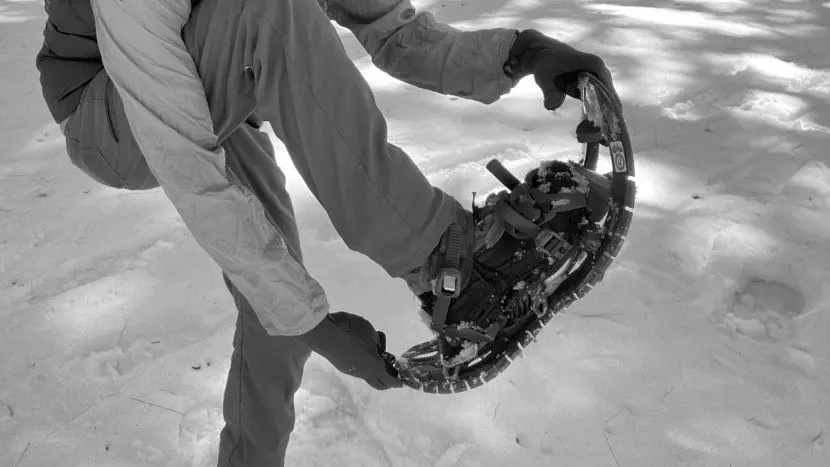 Best Boa Snowshoeing