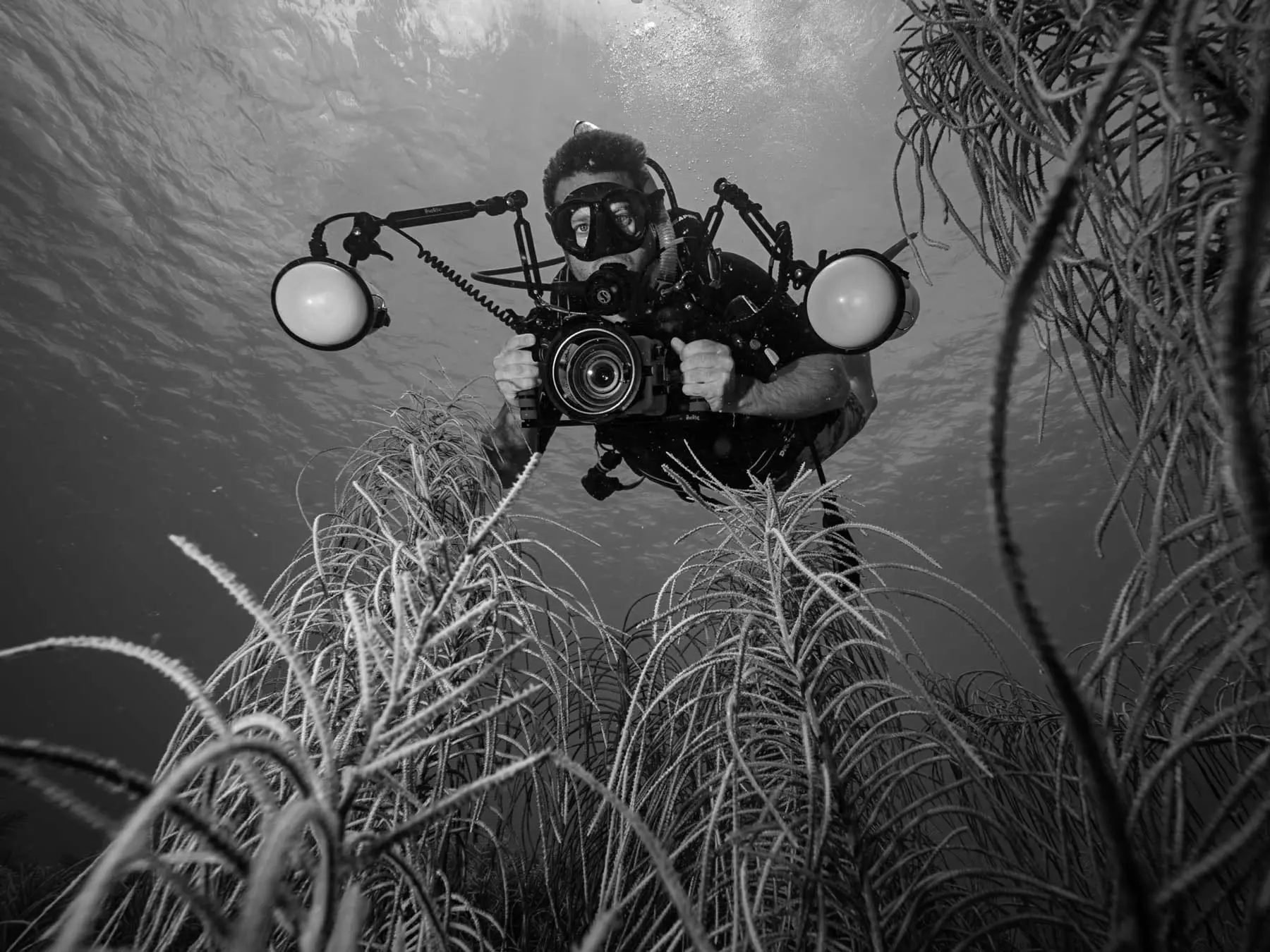 Best Underwater Photography Cameras