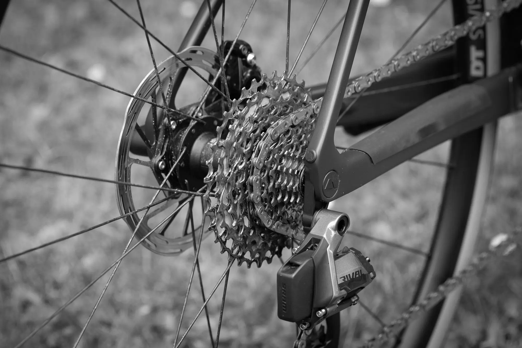 Bike Cassettes & Freewheels
