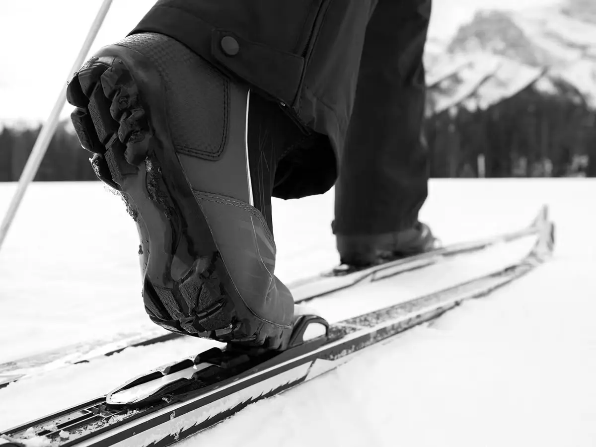 Cross Country Touring Skis
