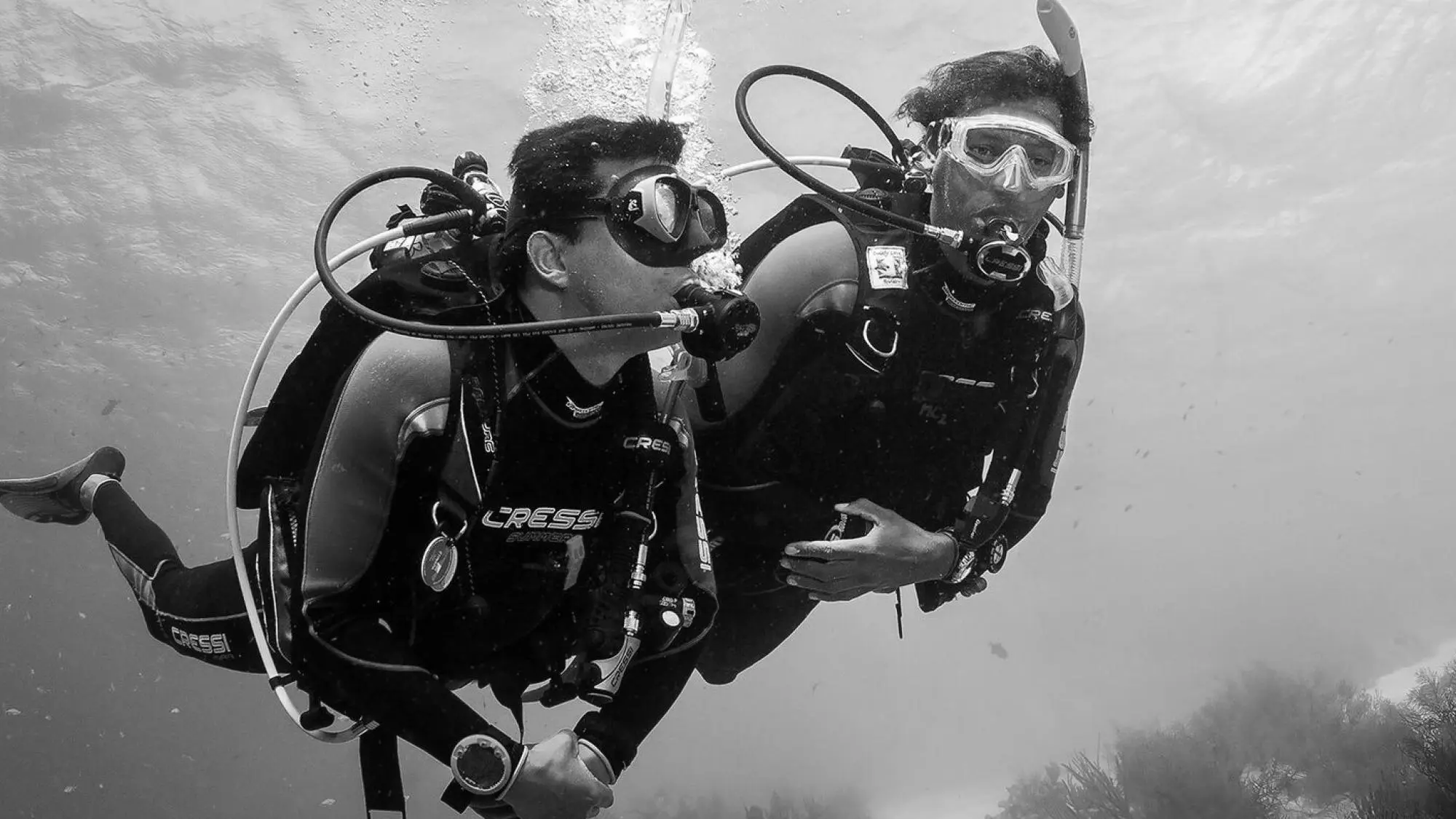 Dive Skins