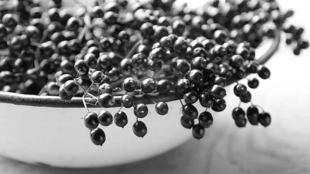 Elderberry Herbal Supplements