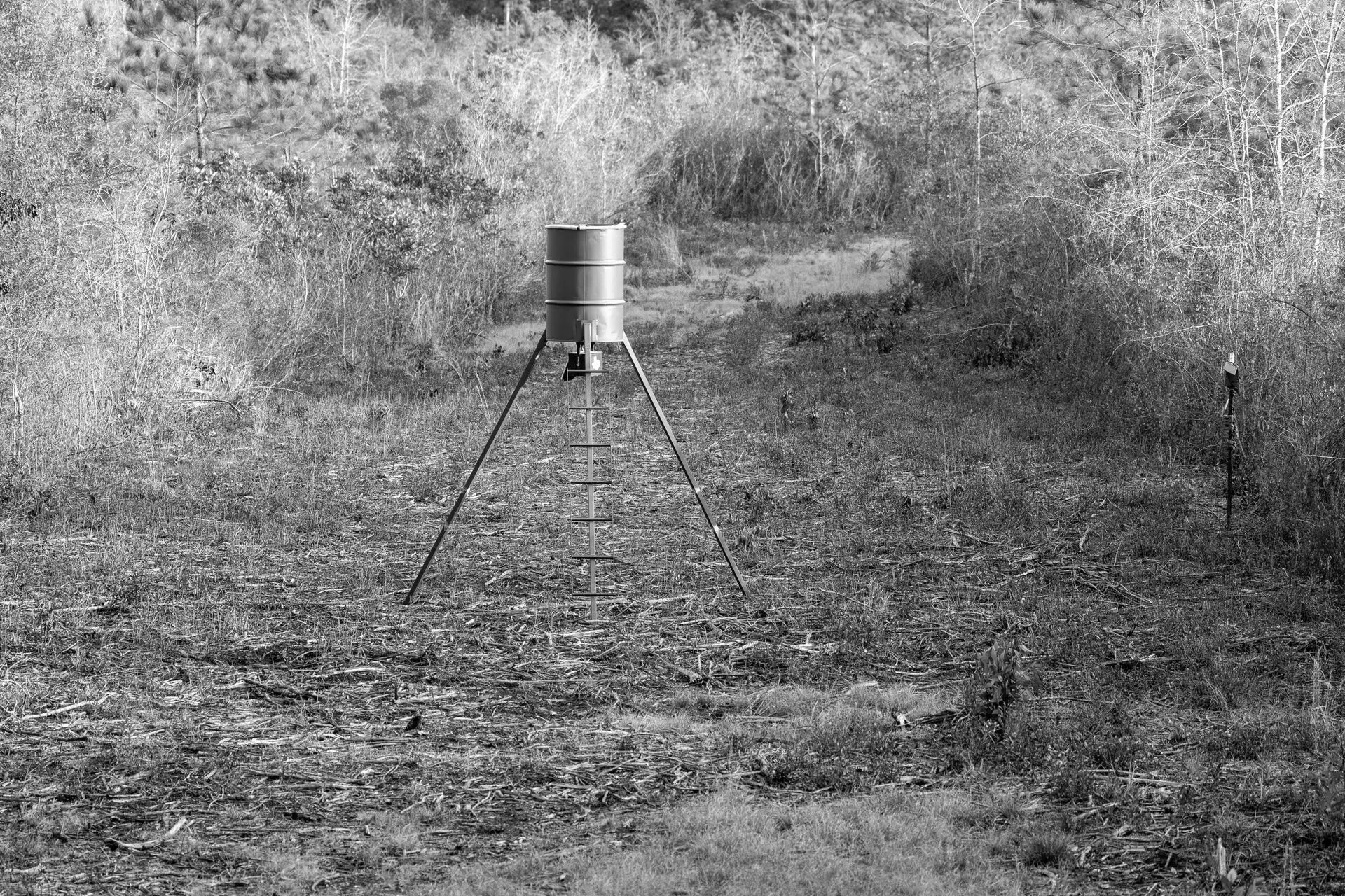 Hunting Game Feeders