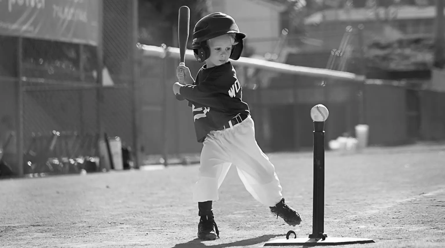 T Ball Bats