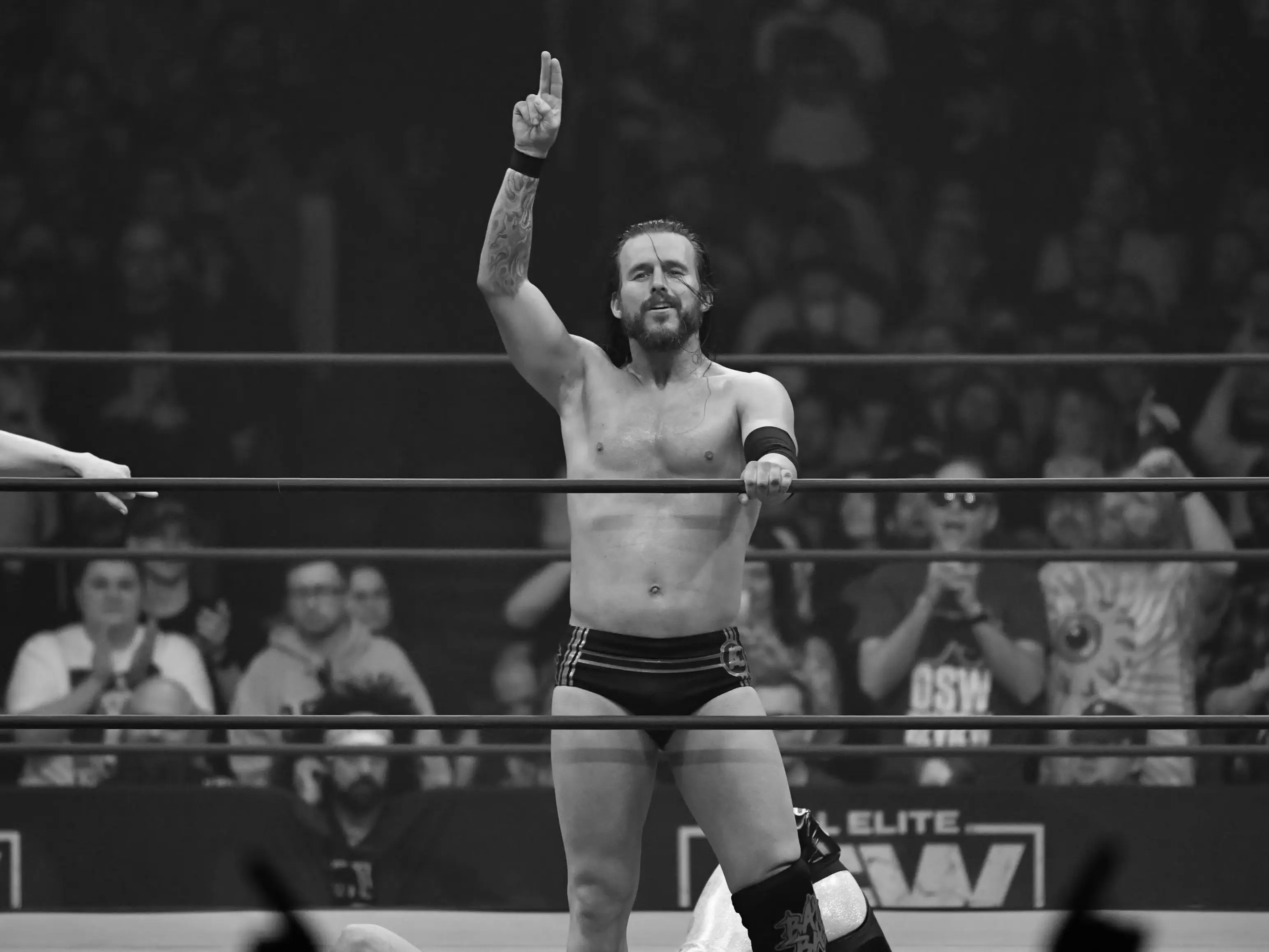 Adam Cole Wrestler