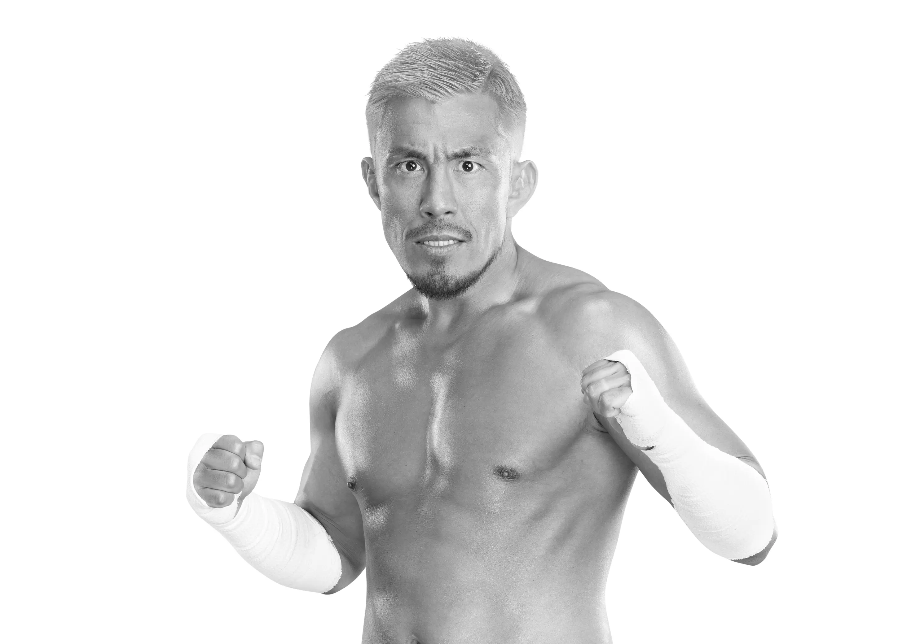 Akira Tozawa Wrestler