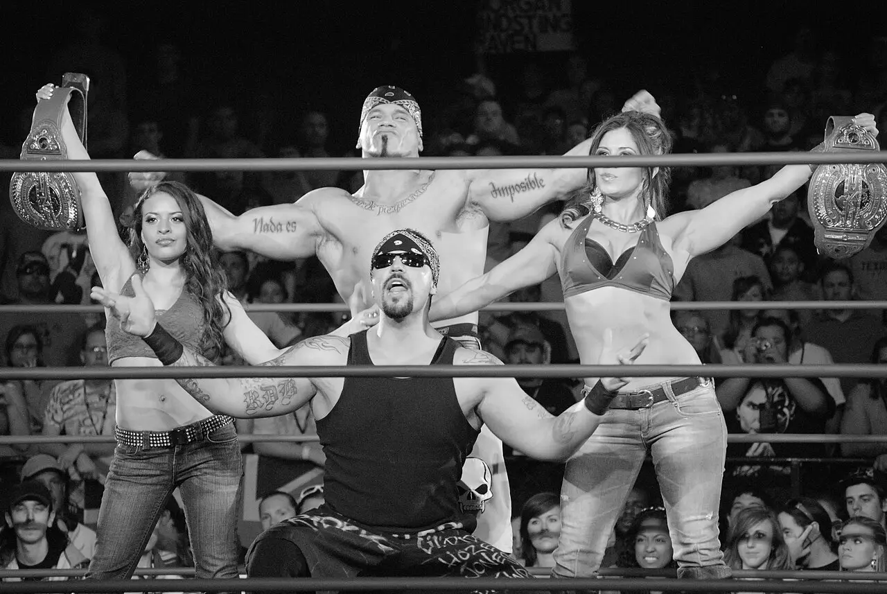 Anarquia Wrestler