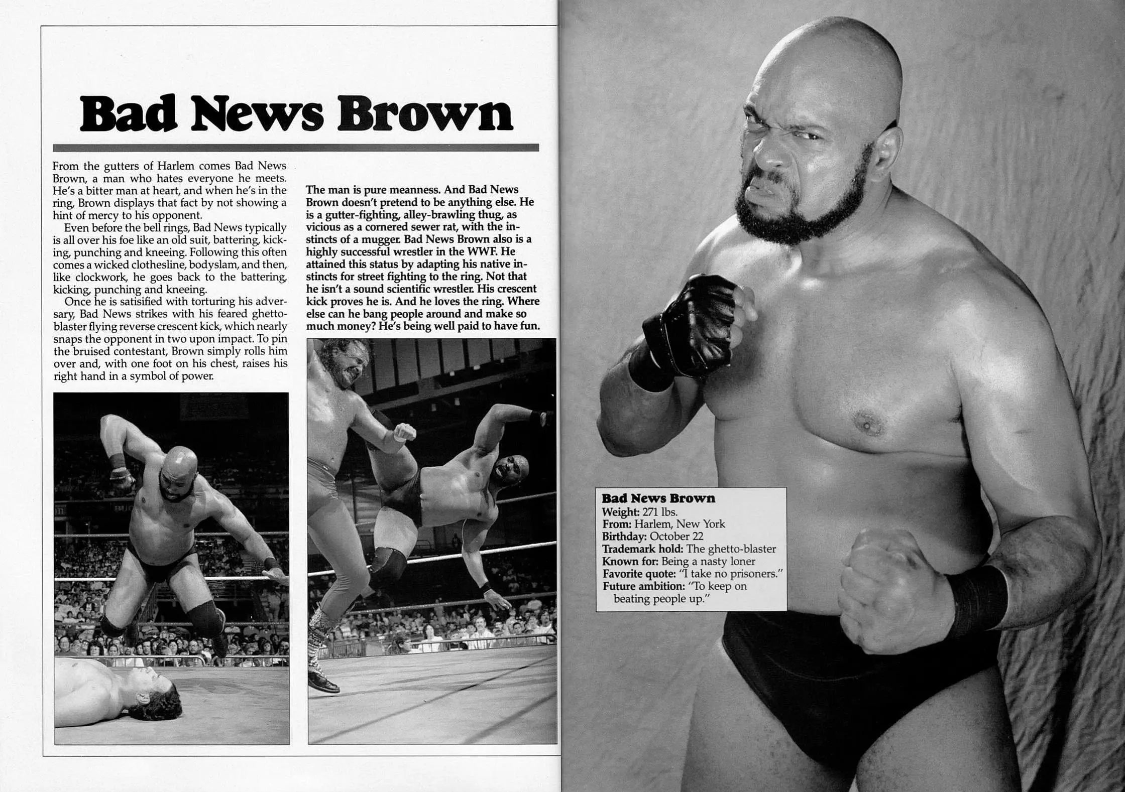 Bad News Brown Wrestler