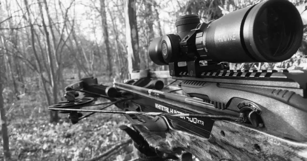 Best Archery Crossbow Scopes