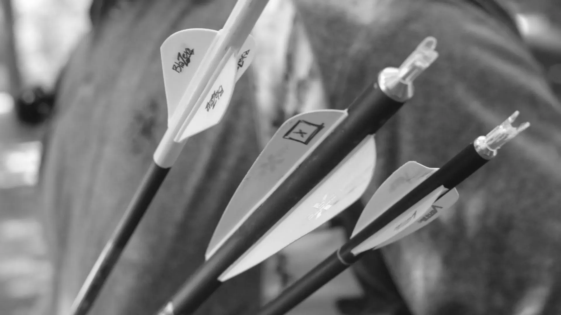 Best Archery Fletches