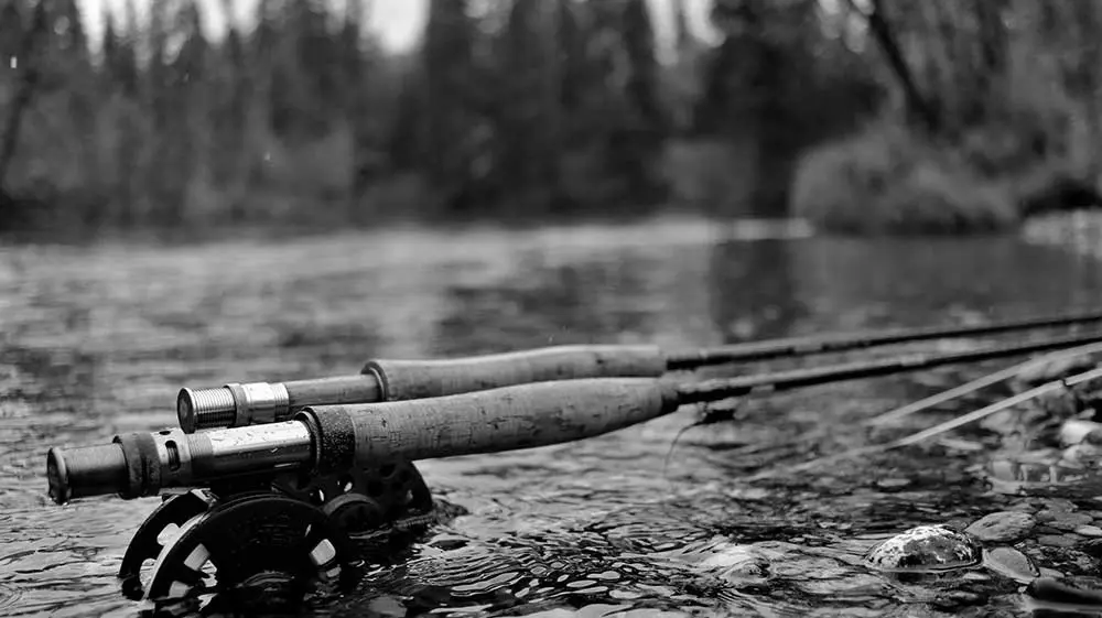 Best Fly Fishing Rods