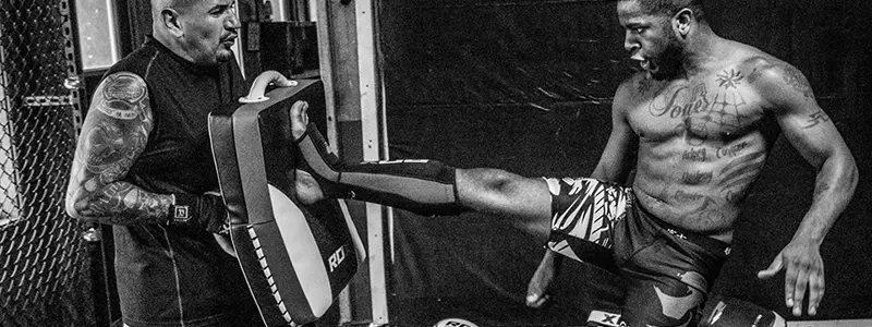 Best MMA Kicking Shields