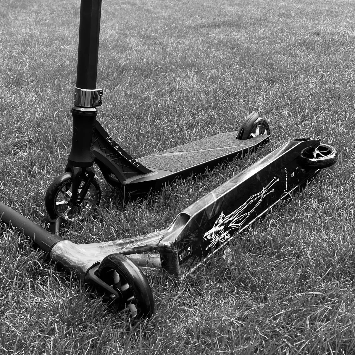 Best Scooter Decks