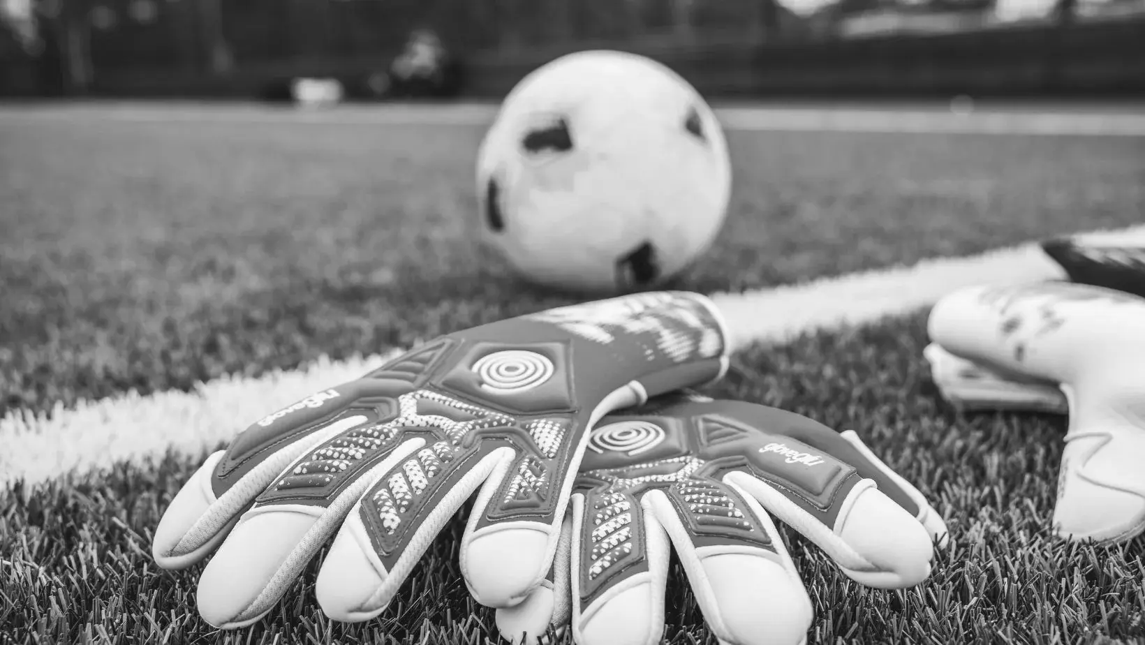 Best Soccer Goalkeeper Gloves