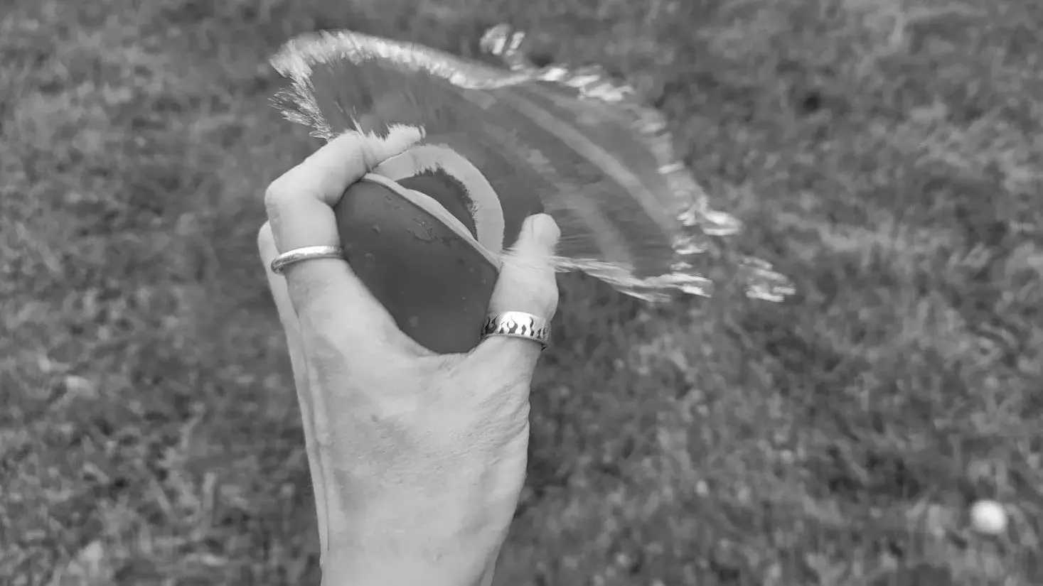 Best Water Balloons