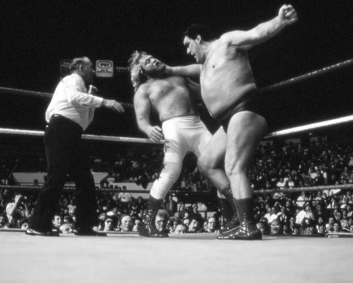 Big John Studd Wrestler