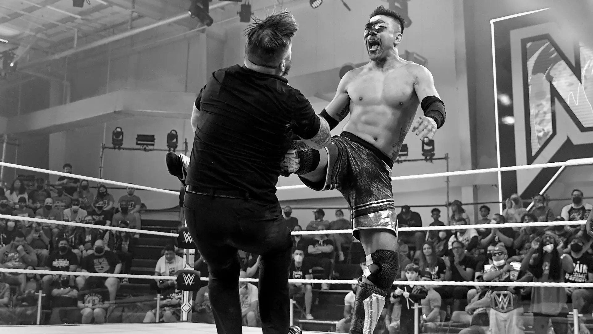 Boa Wrestler