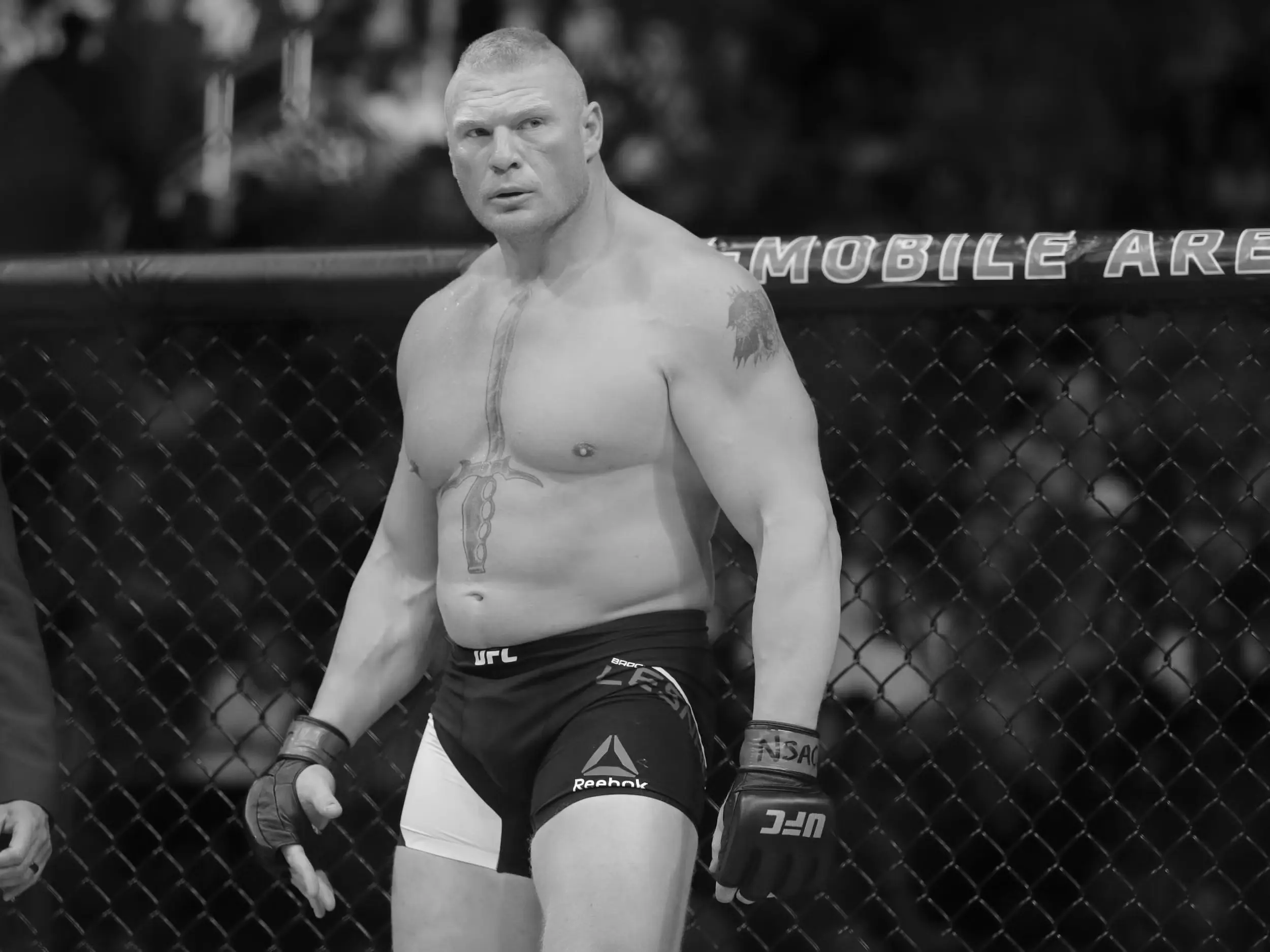 Brock Lesnar Wrestler