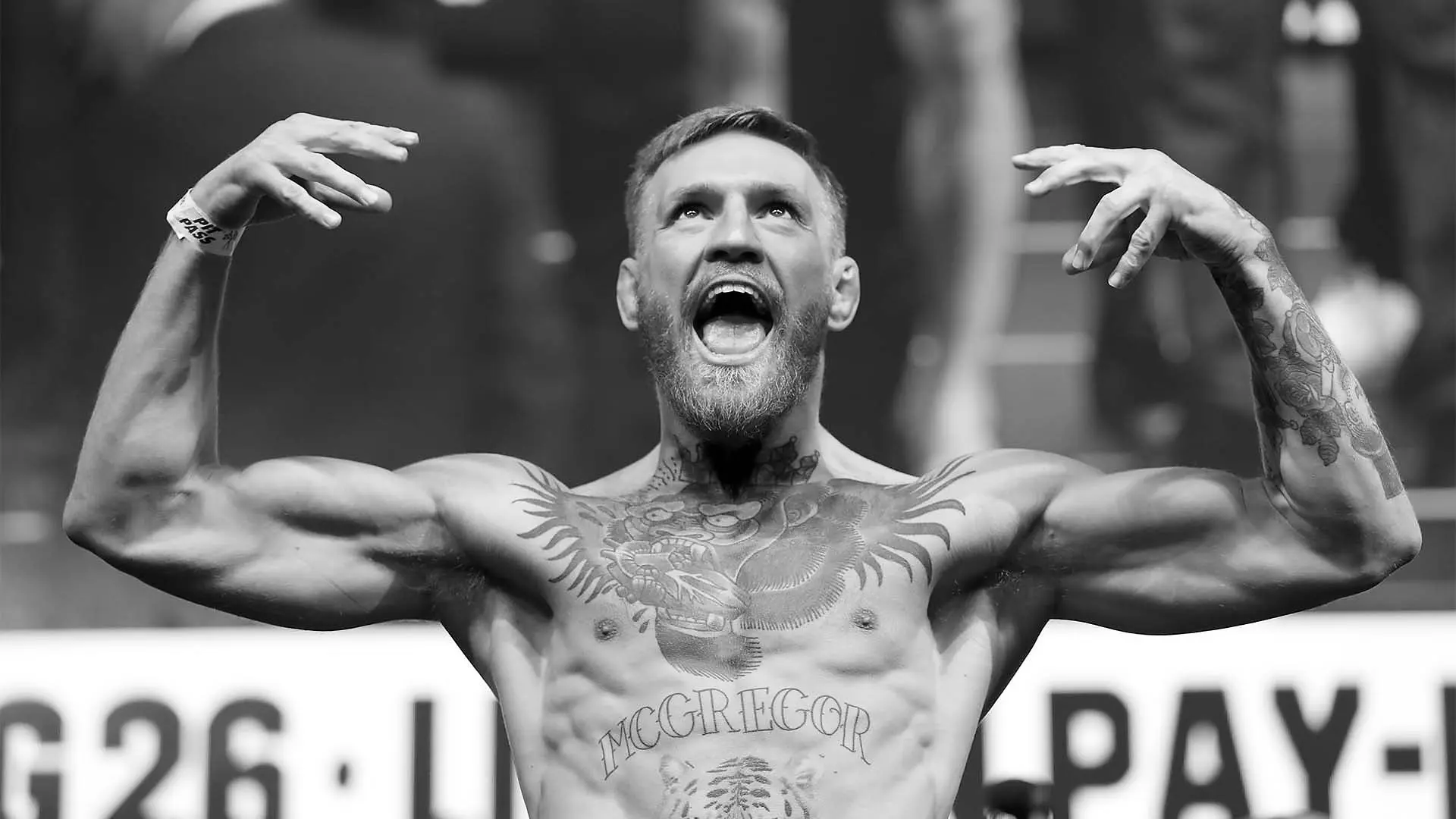 Conor Mcgregor UFC Fighter