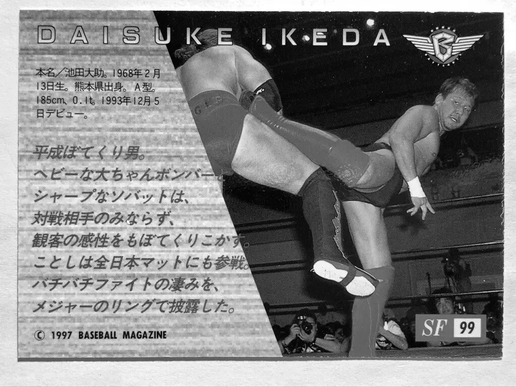 Daisuke Ikeda Wrestler