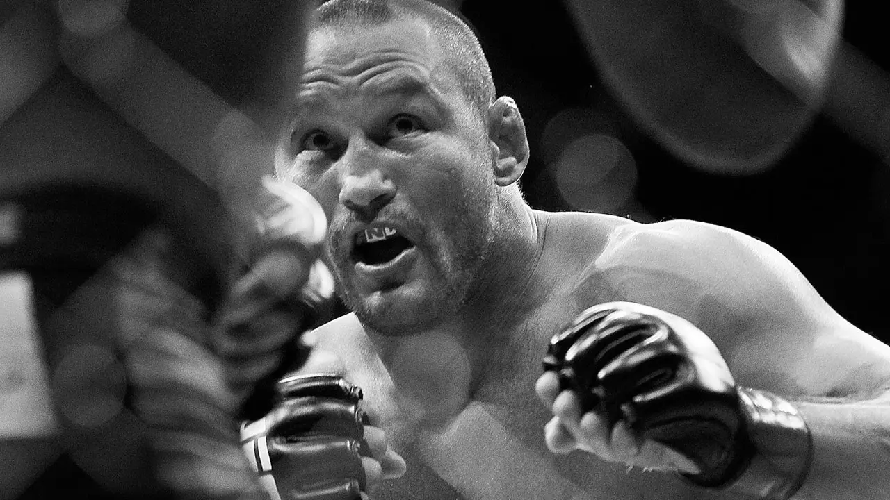 Dan Hendo UFC Fighter