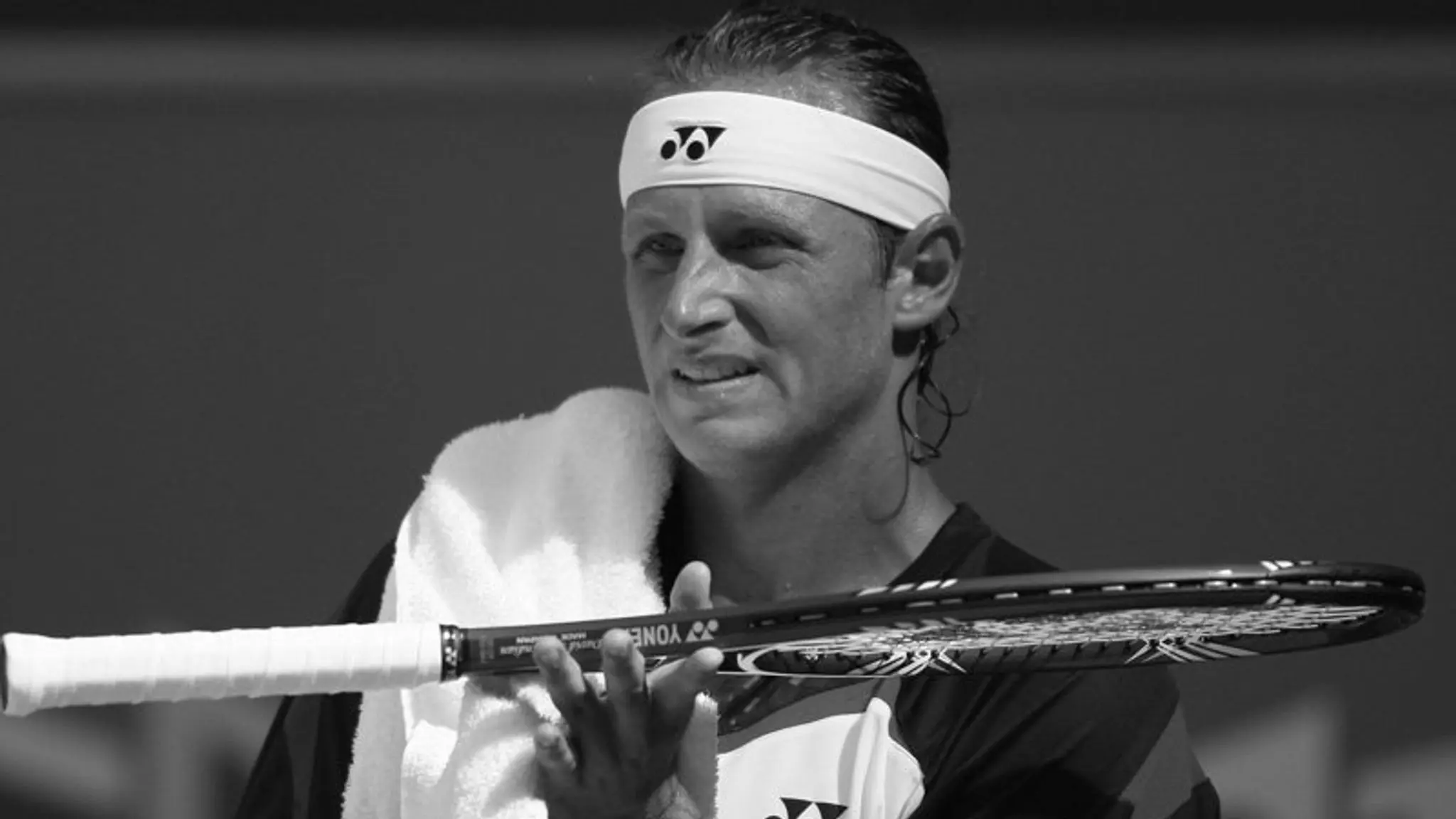 David Nalbandian Tennis Player