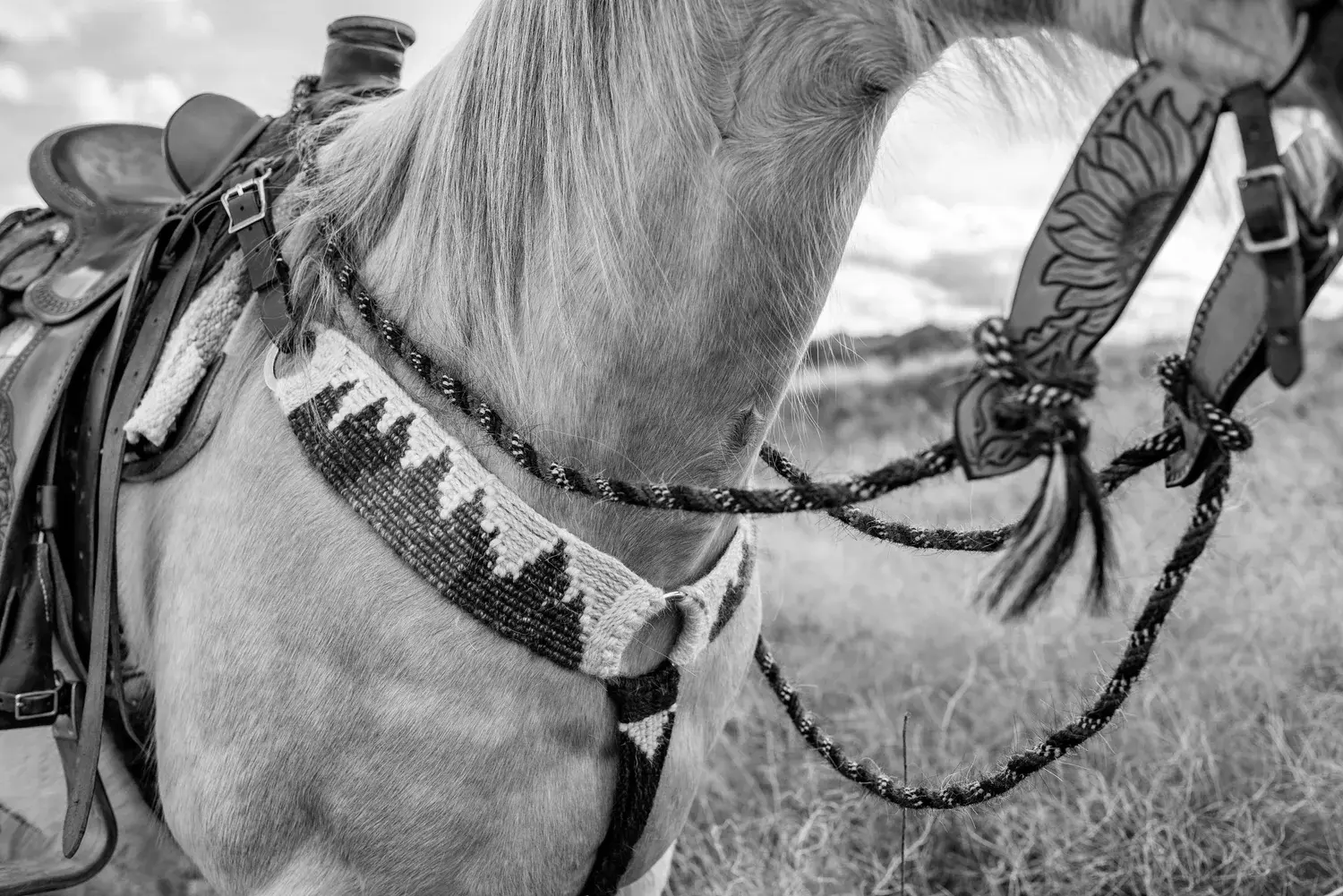 Equestrian Breast Collars
