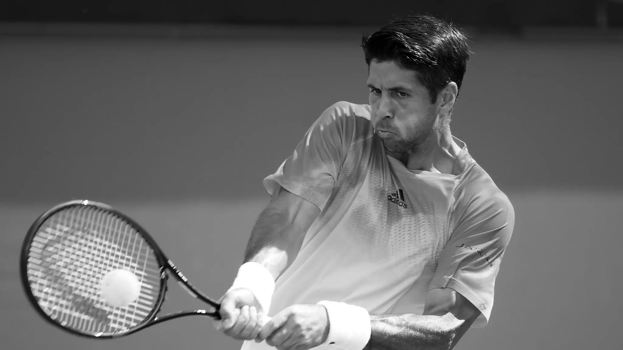 Fernando Verdasco Tennis Player