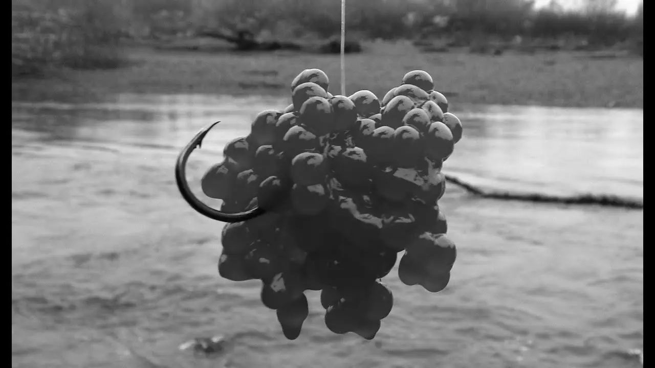 Fishing Bait Eggs