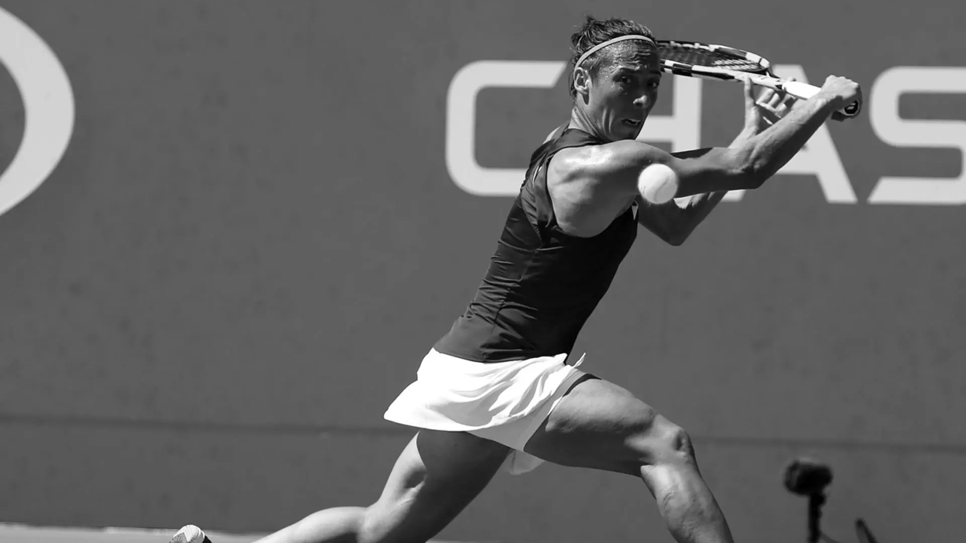 Francesca Schiavone Women's Tennis Player