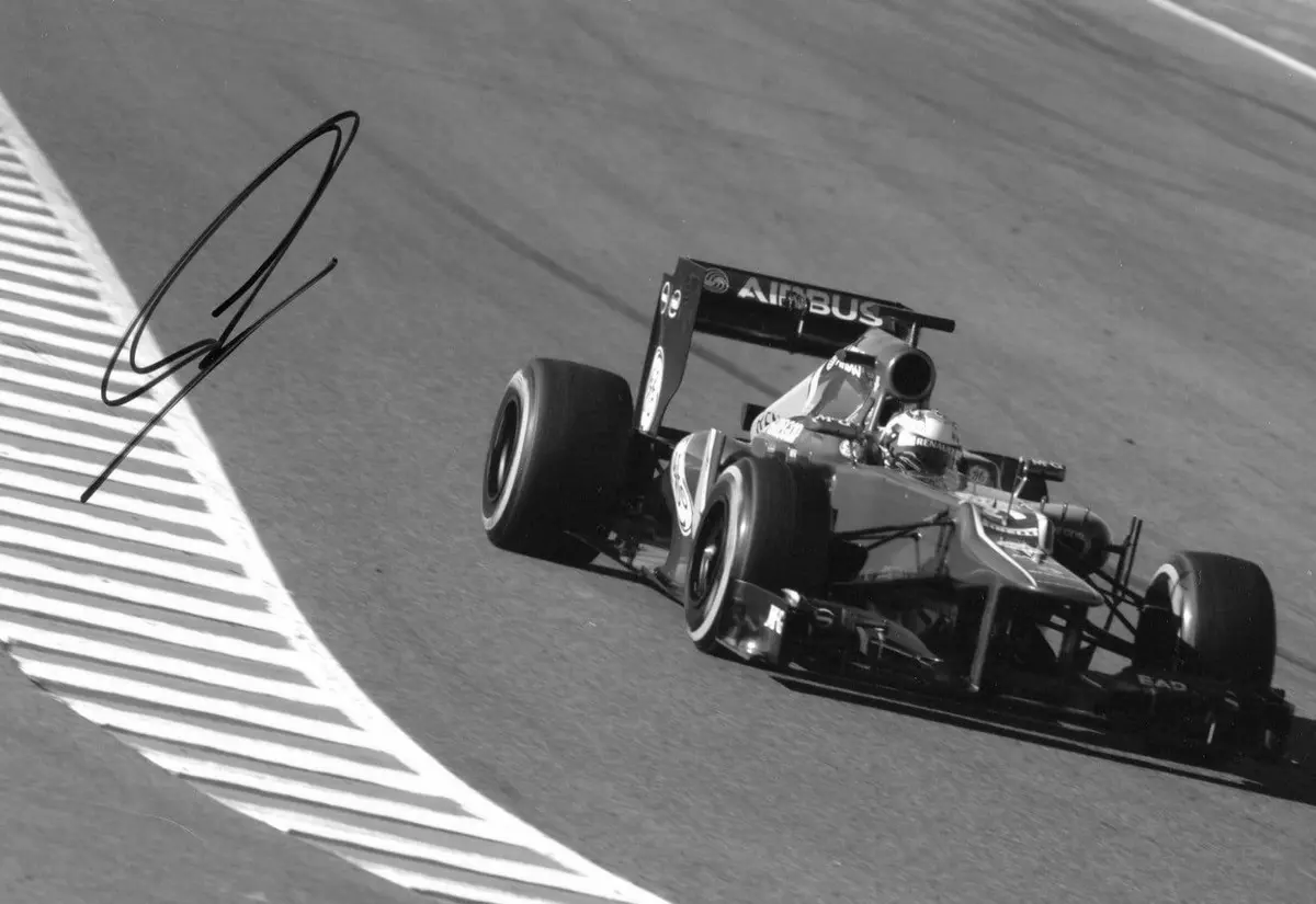 Giedo van der Garde Race Car Driver