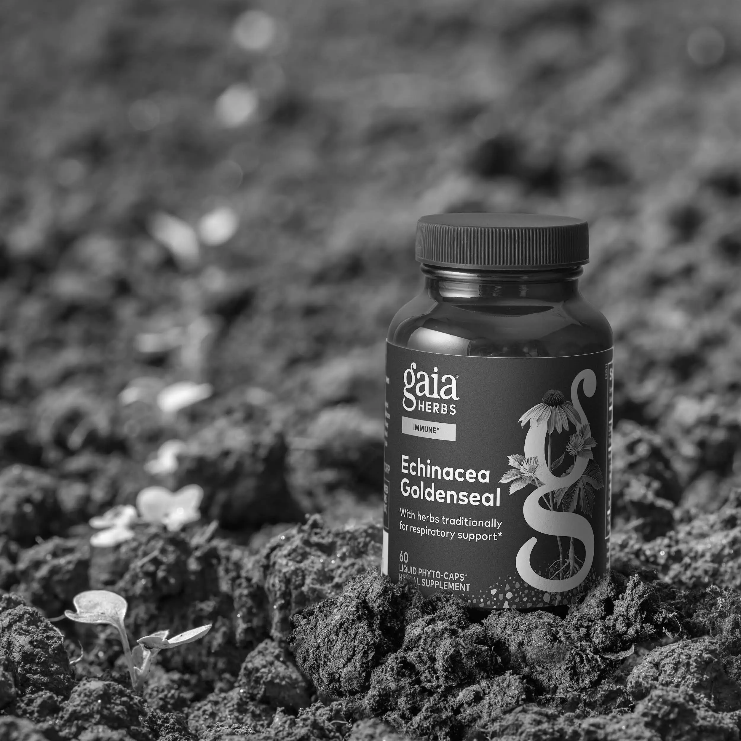Goldenseal Herbal Supplements