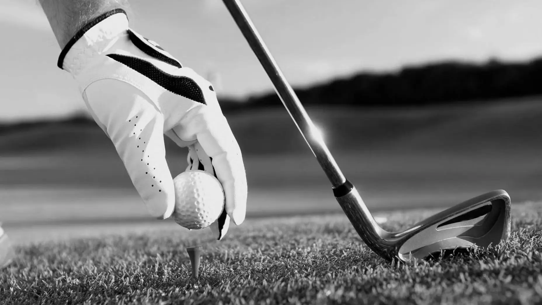 Golf Tees