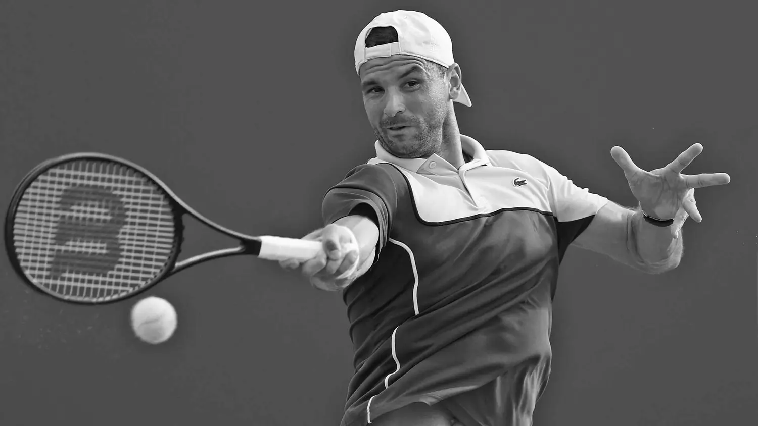 Grigor Dimitrov Tennis Player