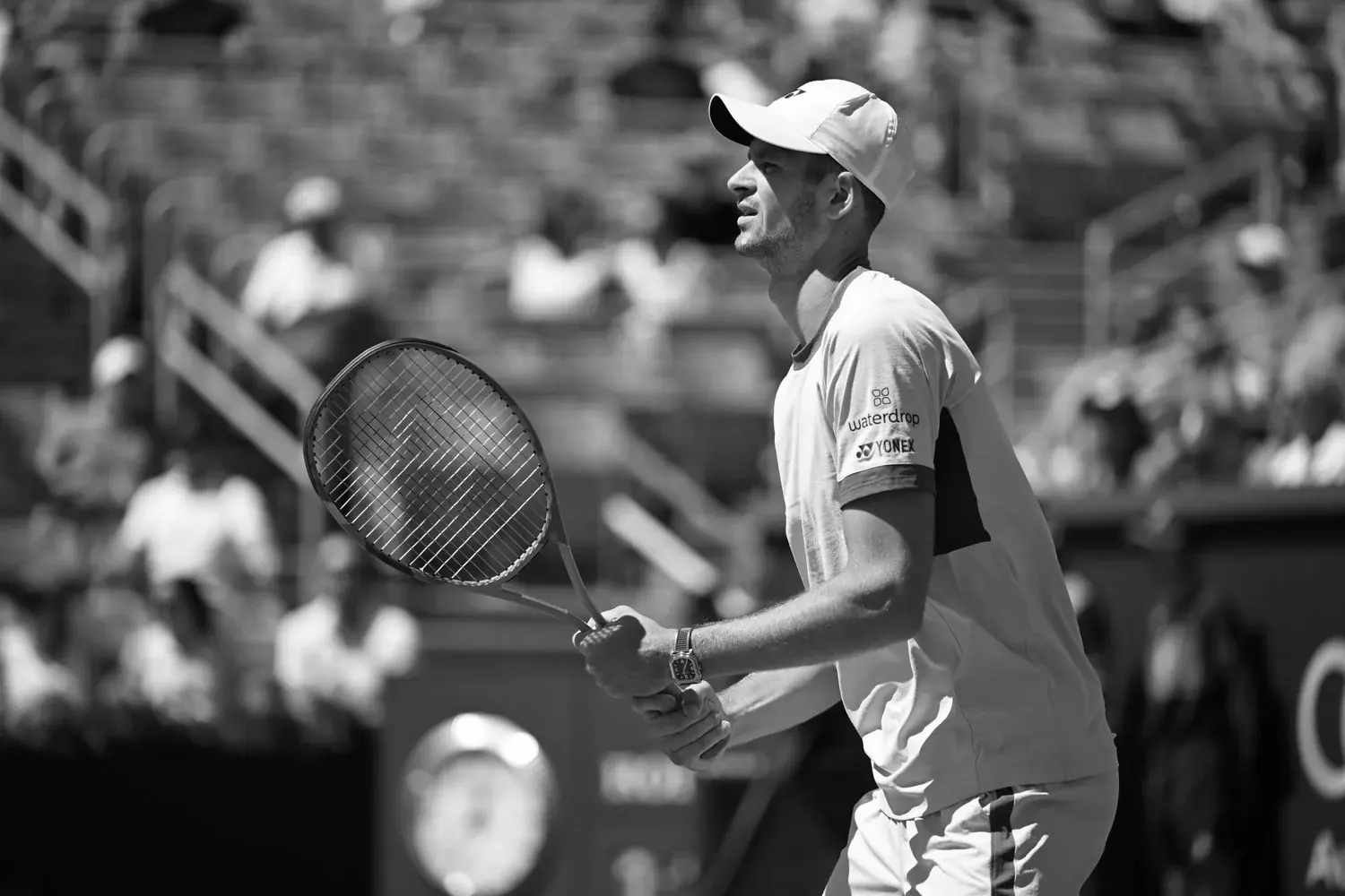 Hubert Hurkacz Tennis Player