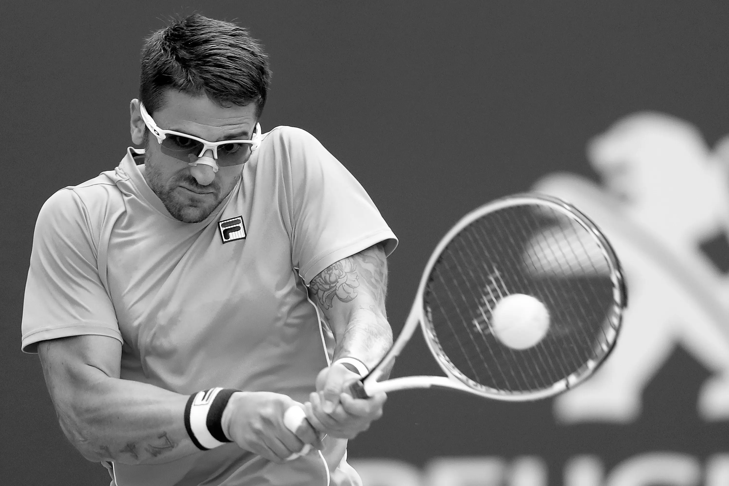 Janko Tipsarevic Tennis Player