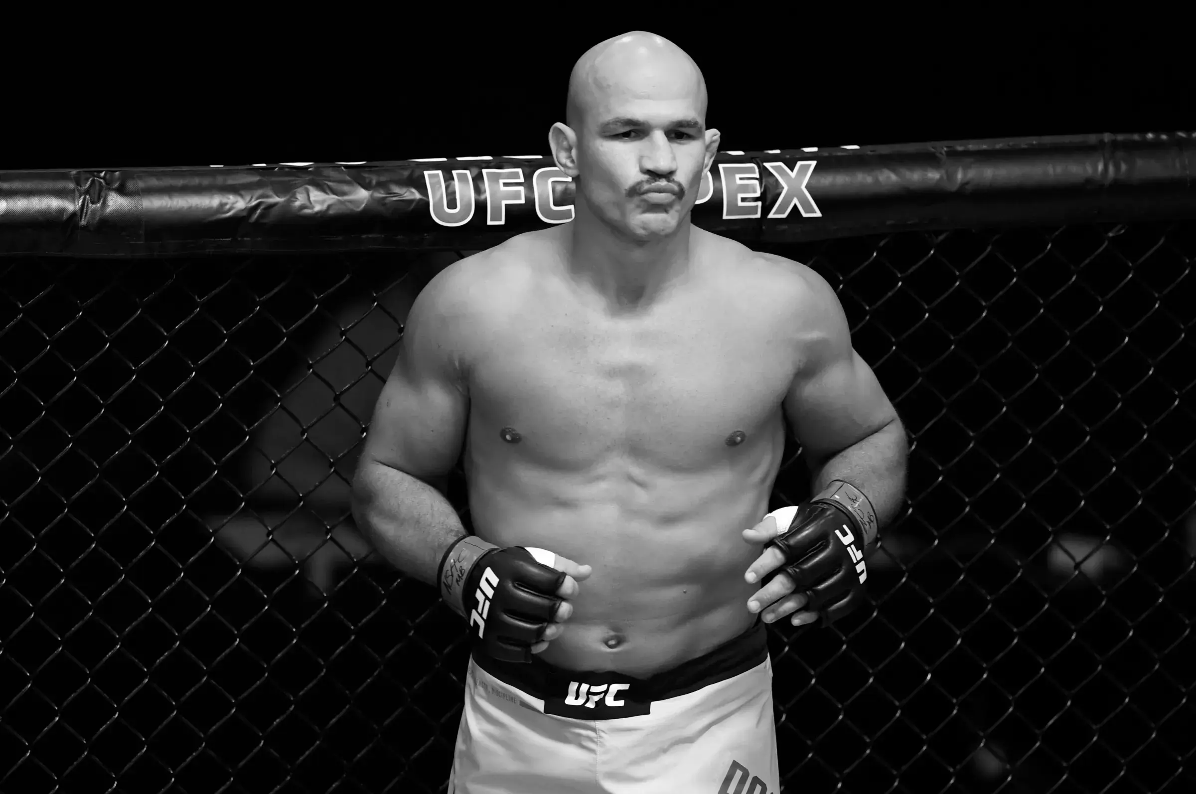 Junior Dos Santos UFC Fighter