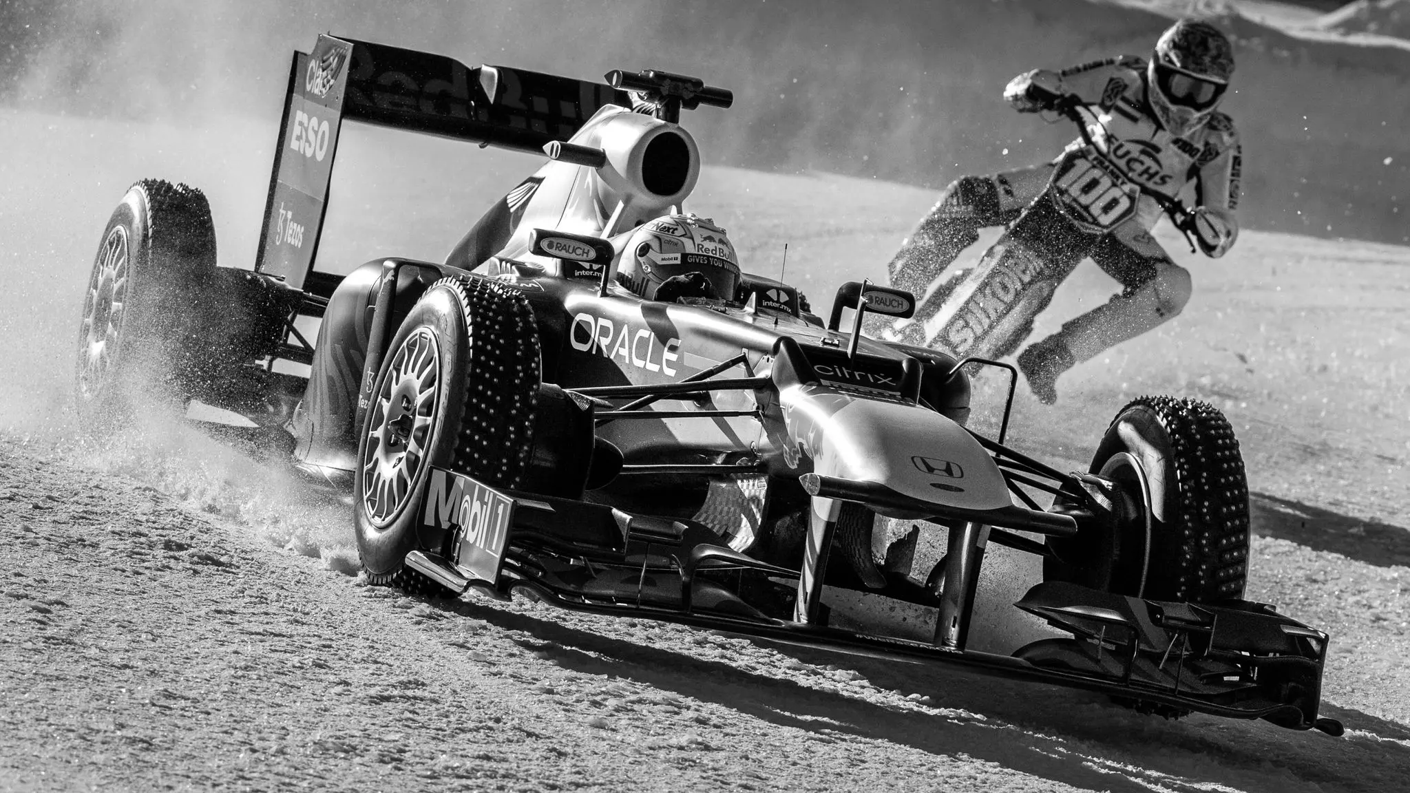 Max Verstappen Race Car Driver