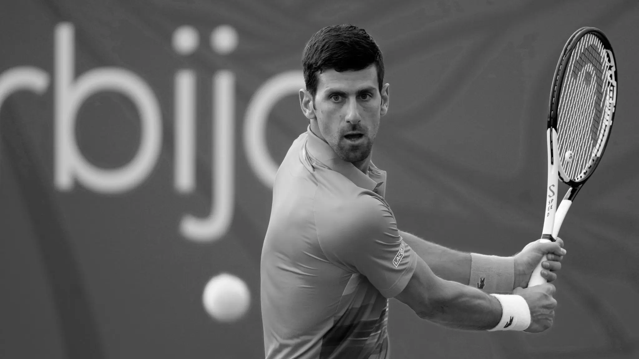 Novak Djokovic Tennis Player