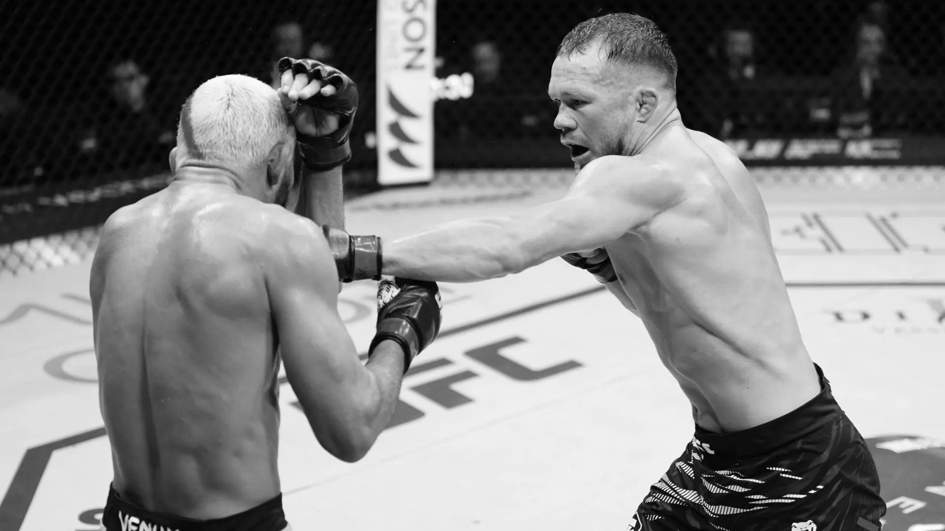 Petr Yan UFC Fighter