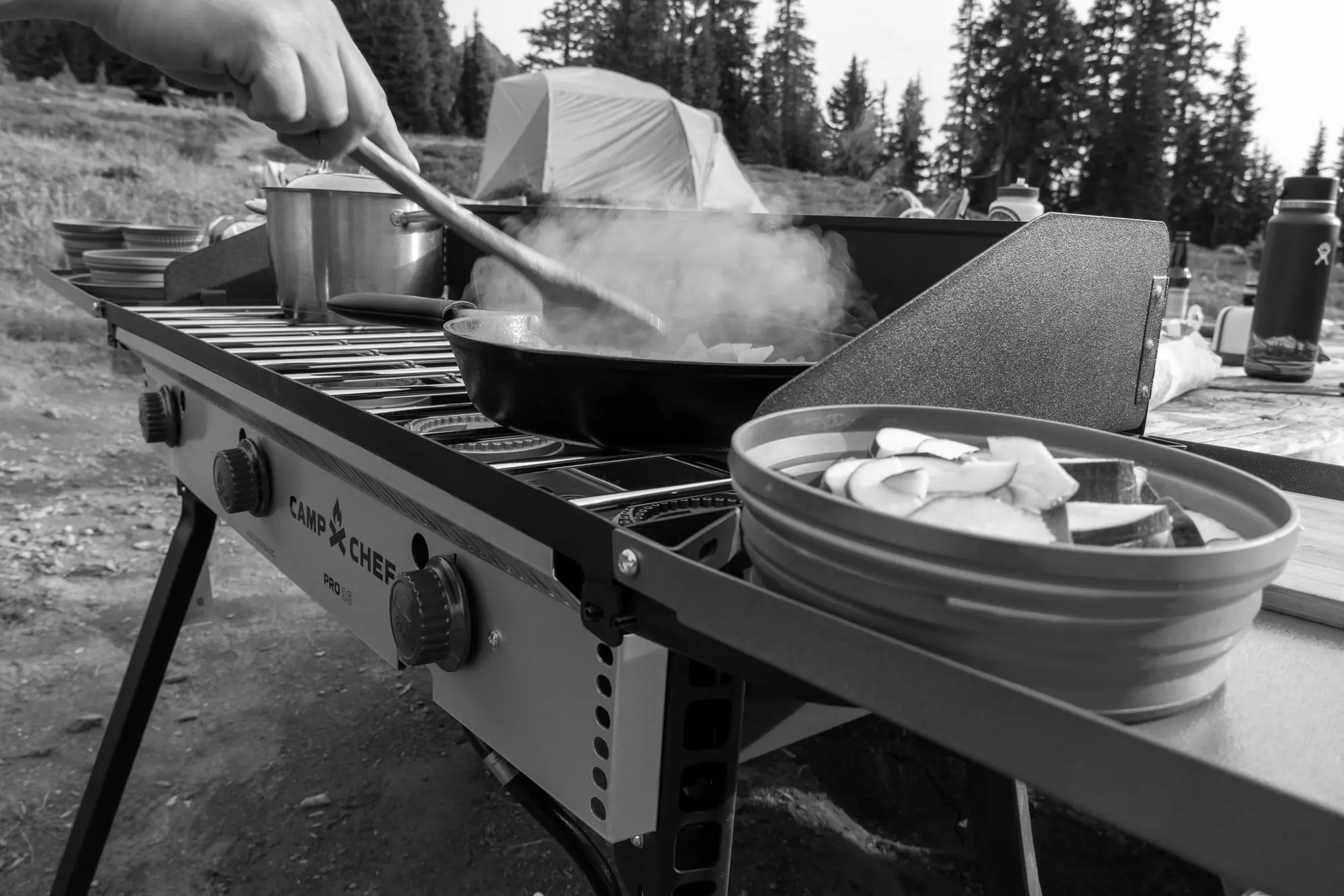 Sports Fan Grills & Accessories
