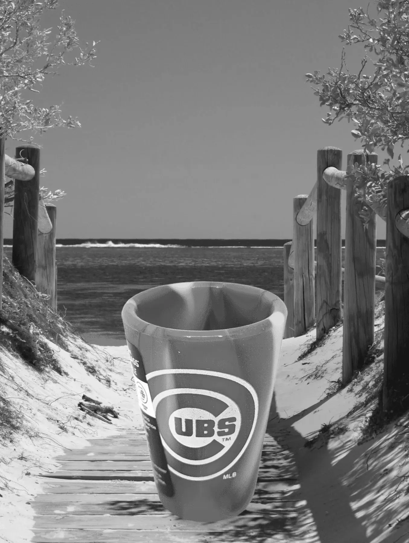 Sports Fan Shot Glasses