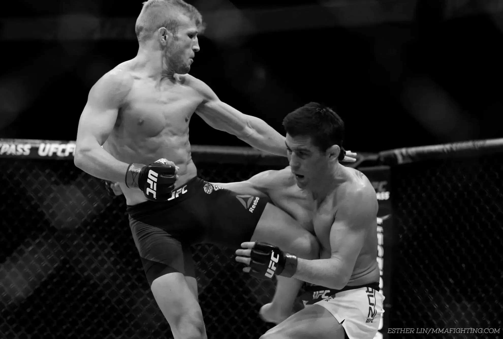 TJ Dillashaw UFC Fighter