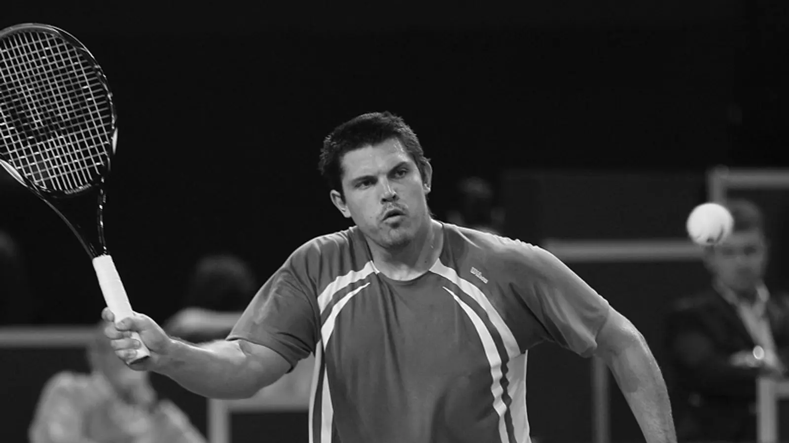 Taylor Dent Tennis Player