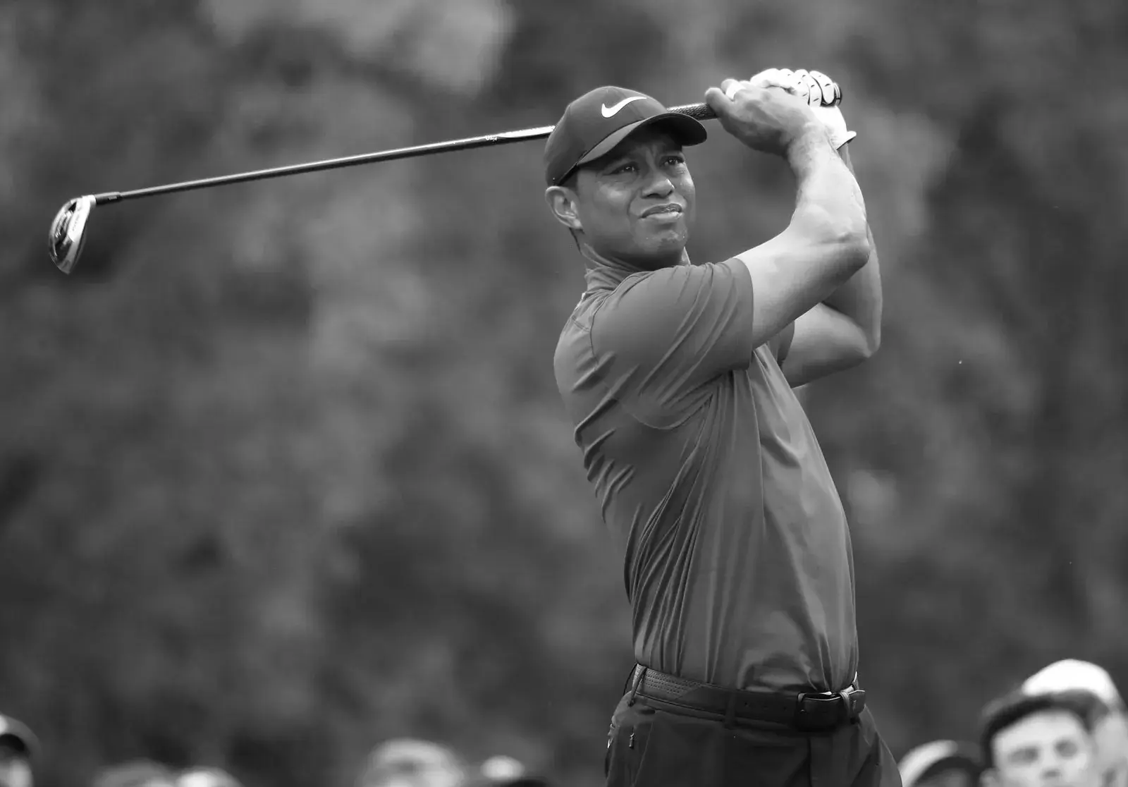 Tiger Woods Golfer