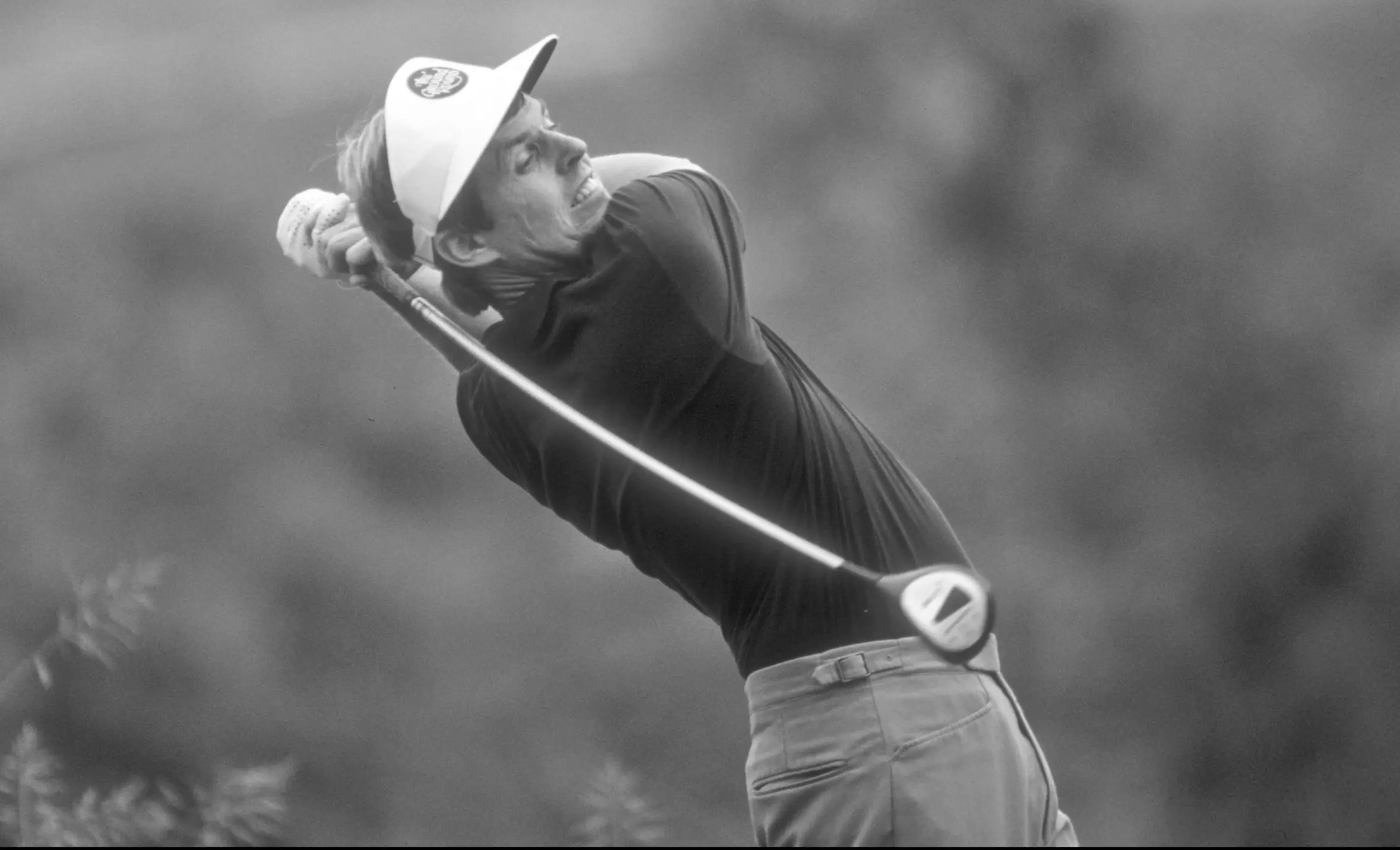 Wayne Levi Golfer