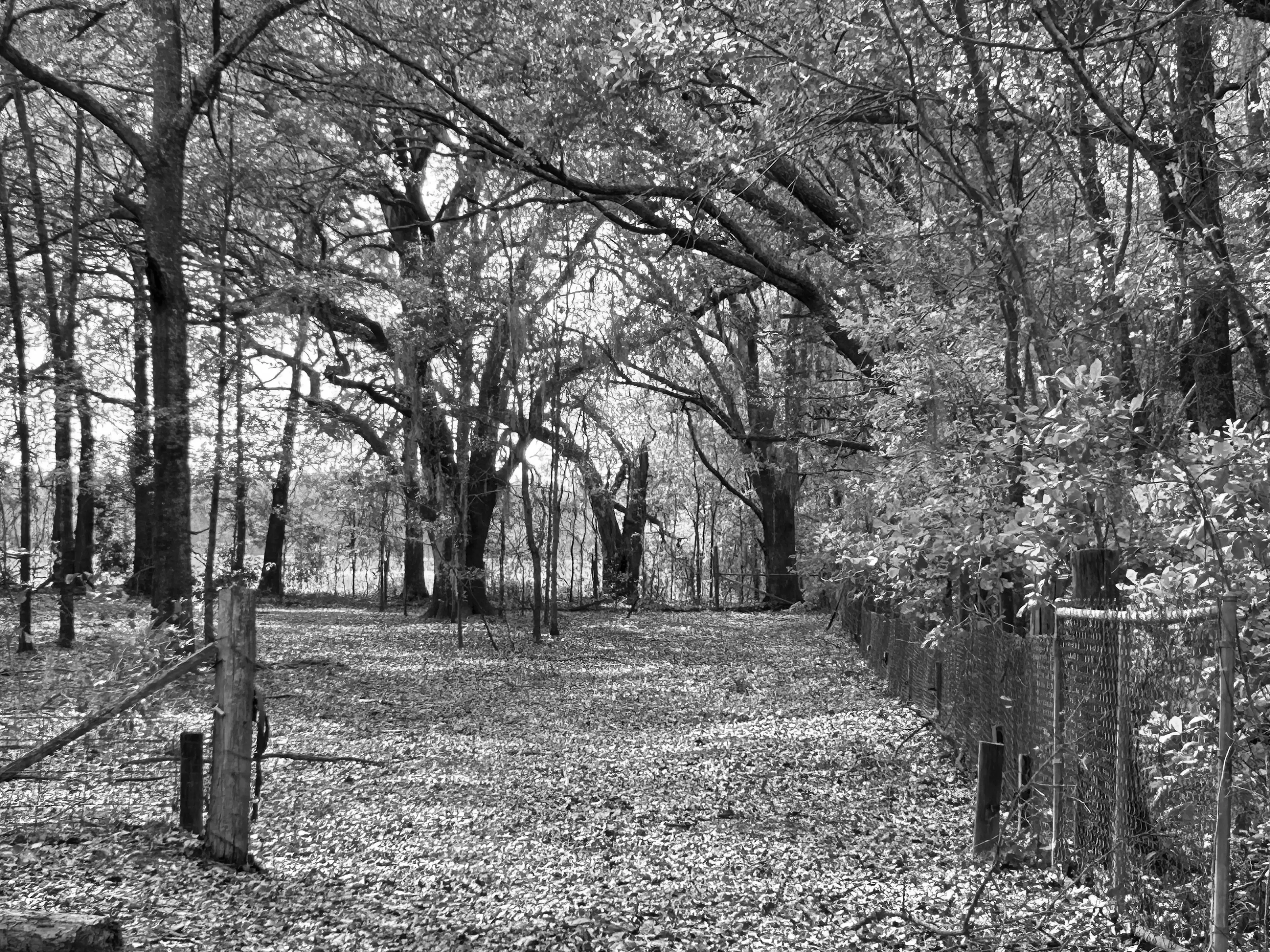 Best Adel Campgrounds