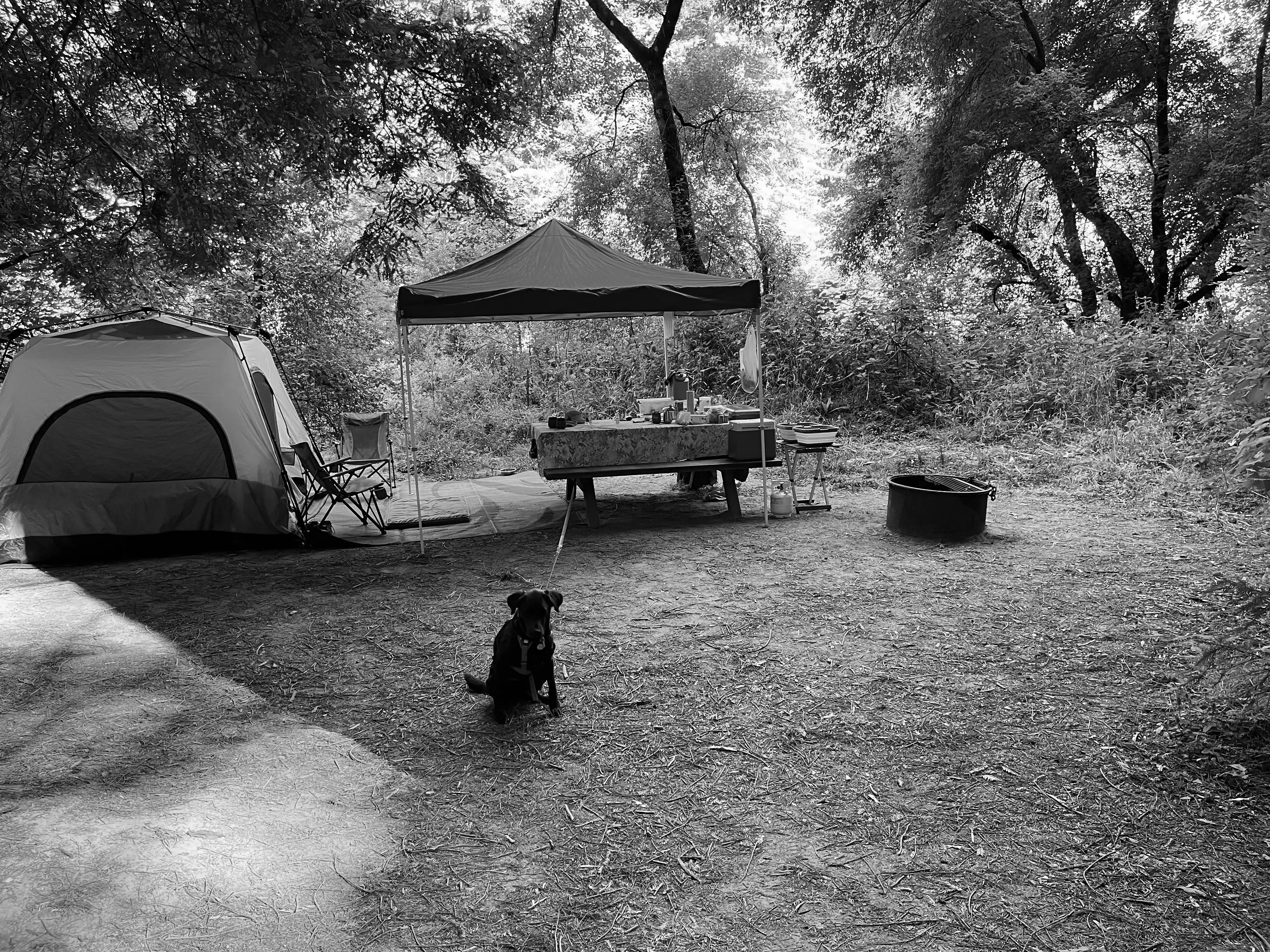 Best Albion Campgrounds
