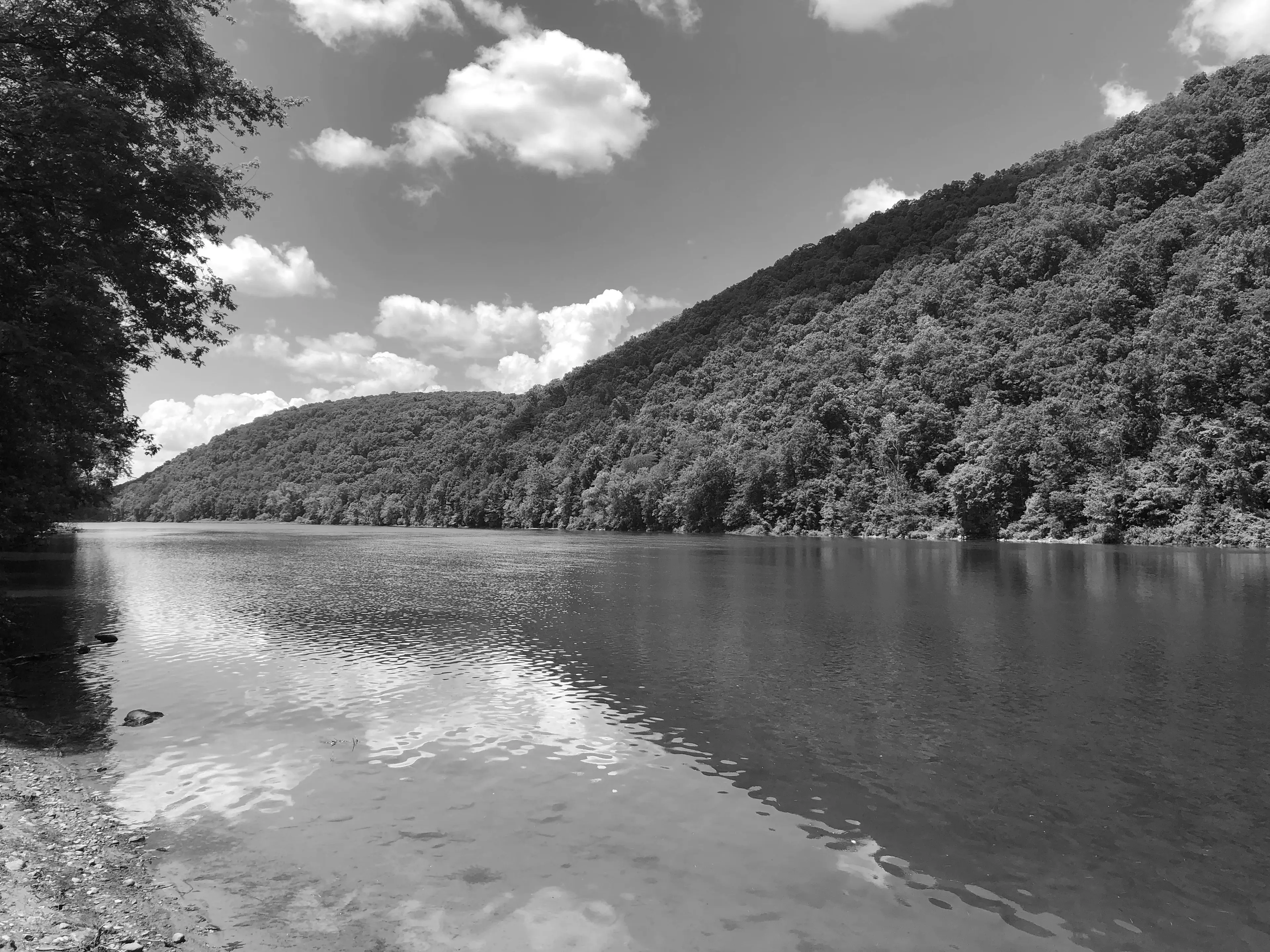 Best Allegheny Reservoir Campgrounds